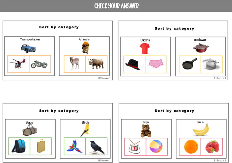 5 Sorting and Classification Activities for Children with Autism ...